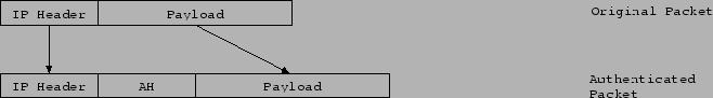 \begin{figure}\begin{figure}\centerline{\epsffile{NBS_IPv6_Report_A_IPsecA.eps}
}\end{figure}\par\end{figure}